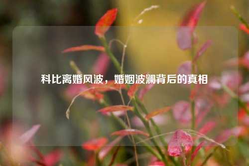科比离婚风波，婚姻波澜背后的真相
