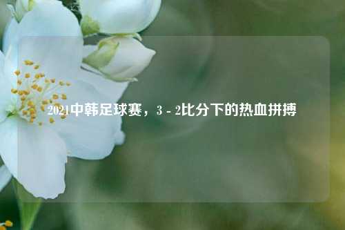 2021中韩足球赛，3 - 2比分下的热血拼搏