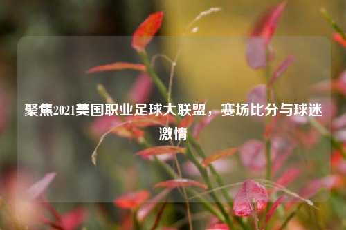 聚焦2021美国职业足球大联盟，赛场比分与球迷激情