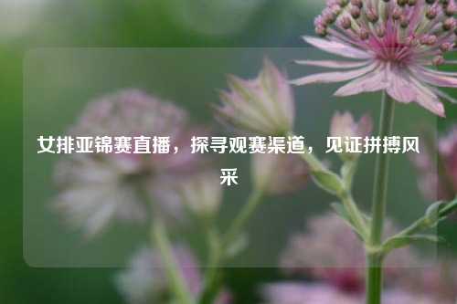 女排亚锦赛直播，探寻观赛渠道，见证拼搏风采
