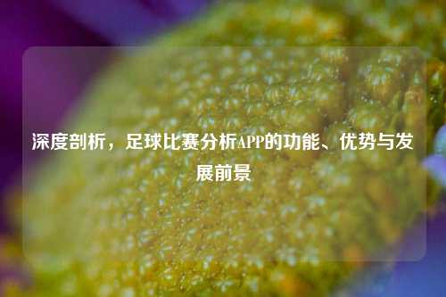 深度剖析，足球比赛分析APP的功能、优势与发展前景
