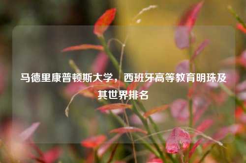 马德里康普顿斯大学，西班牙高等教育明珠及其世界排名