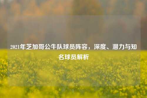 2021年芝加哥公牛队球员阵容，深度、潜力与知名球员解析