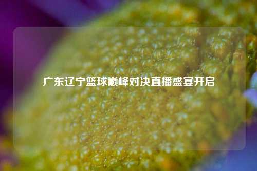 广东辽宁篮球巅峰对决直播盛宴开启