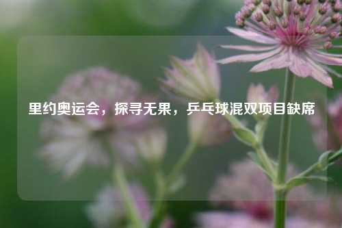 里约奥运会，探寻无果，乒乓球混双项目缺席