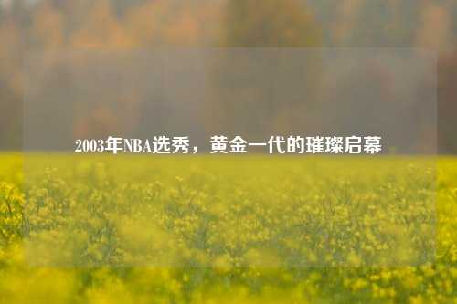 2003年NBA选秀，黄金一代的璀璨启幕