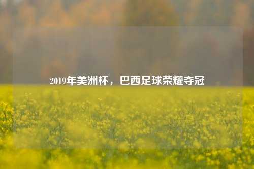 2019年美洲杯，巴西足球荣耀夺冠