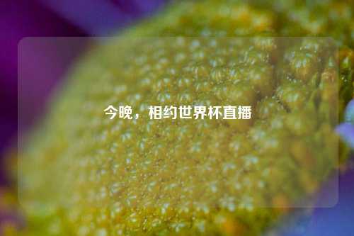 今晚，相约世界杯直播