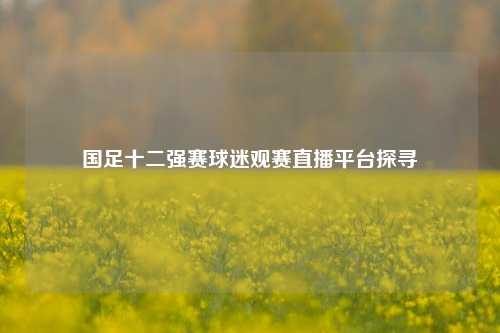 国足十二强赛球迷观赛直播平台探寻