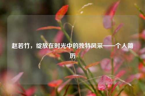 赵若竹，绽放在时光中的独特风采——个人简历