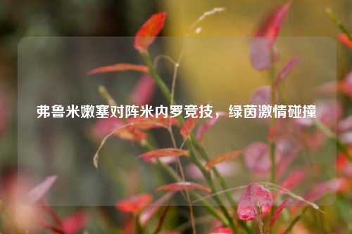 弗鲁米嫩塞对阵米内罗竞技，绿茵激情碰撞