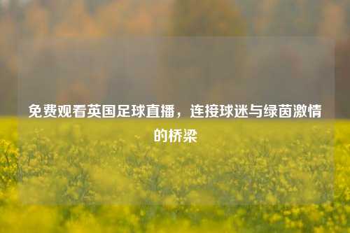 免费观看英国足球直播，连接球迷与绿茵激情的桥梁