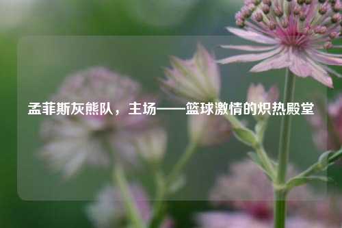 孟菲斯灰熊队，主场——篮球激情的炽热殿堂