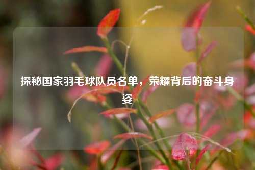 探秘国家羽毛球队员名单，荣耀背后的奋斗身姿