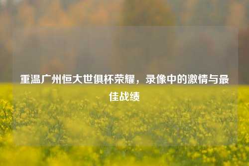 重温广州恒大世俱杯荣耀，录像中的激情与最佳战绩