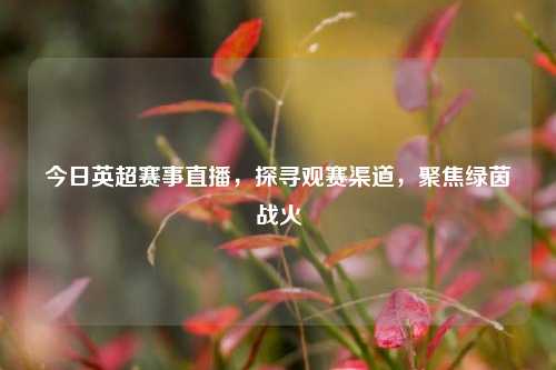 今日英超赛事直播，探寻观赛渠道，聚焦绿茵战火