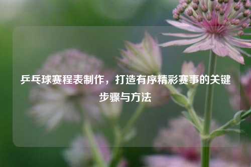 乒乓球赛程表制作，打造有序精彩赛事的关键步骤与方法