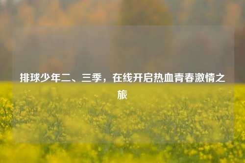 排球少年二、三季，在线开启热血青春激情之旅