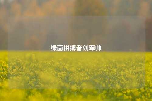 绿茵拼搏者刘军帅