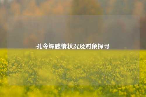 孔令辉感情状况及对象探寻