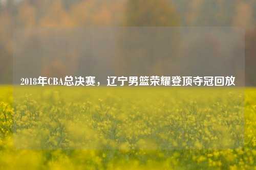 2018年CBA总决赛，辽宁男篮荣耀登顶夺冠回放