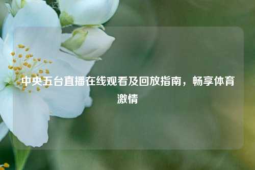 中央五台直播在线观看及回放指南，畅享体育激情