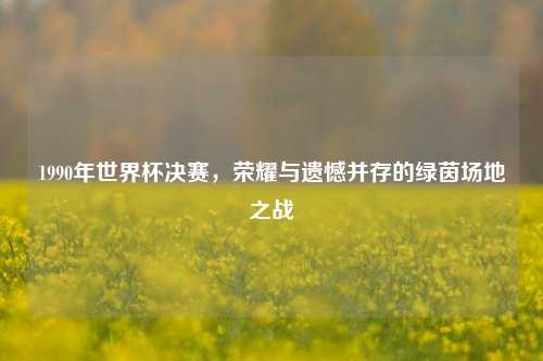 1990年世界杯决赛，荣耀与遗憾并存的绿茵场地之战