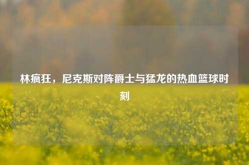 林疯狂，尼克斯对阵爵士与猛龙的热血篮球时刻