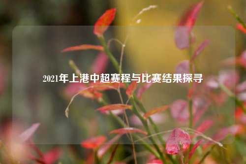 2021年上港中超赛程与比赛结果探寻