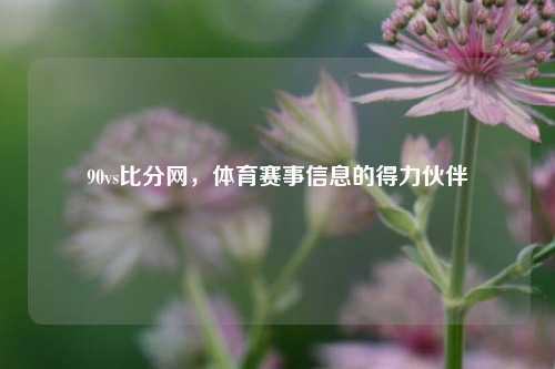 90vs比分网，体育赛事信息的得力伙伴