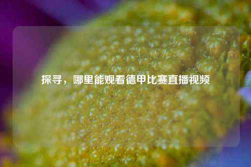 探寻，哪里能观看德甲比赛直播视频
