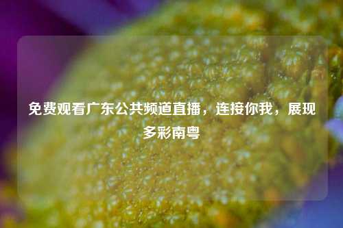 免费观看广东公共频道直播，连接你我，展现多彩南粤