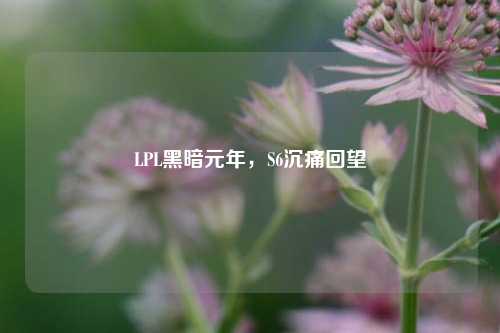 LPL黑暗元年，S6沉痛回望