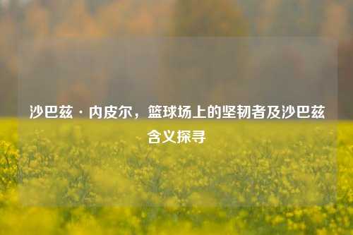 沙巴兹·内皮尔，篮球场上的坚韧者及沙巴兹含义探寻