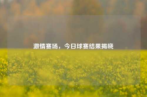 激情赛场，今日球赛结果揭晓