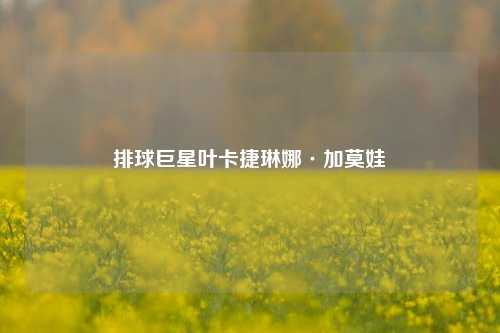 排球巨星叶卡捷琳娜·加莫娃