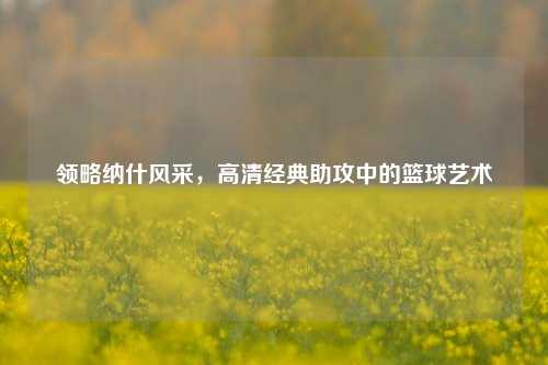 领略纳什风采，高清经典助攻中的篮球艺术