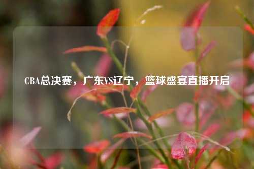 CBA总决赛，广东VS辽宁，篮球盛宴直播开启