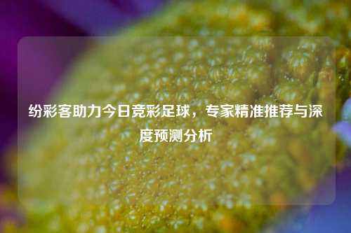 纷彩客助力今日竞彩足球，专家精准推荐与深度预测分析