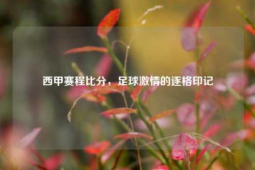 西甲赛程比分，足球激情的逐格印记
