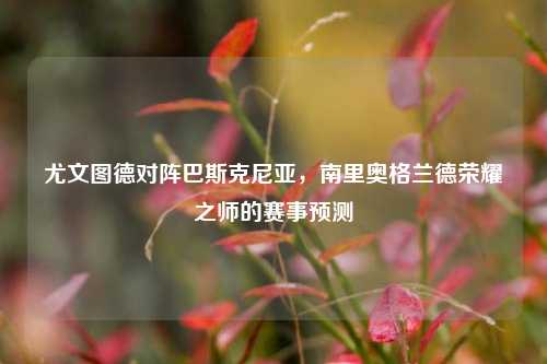 尤文图德对阵巴斯克尼亚，南里奥格兰德荣耀之师的赛事预测