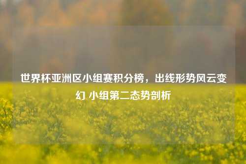 世界杯亚洲区小组赛积分榜，出线形势风云变幻 小组第二态势剖析