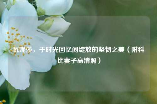 瓦妮莎，于时光回忆间绽放的坚韧之美（附科比妻子高清照）