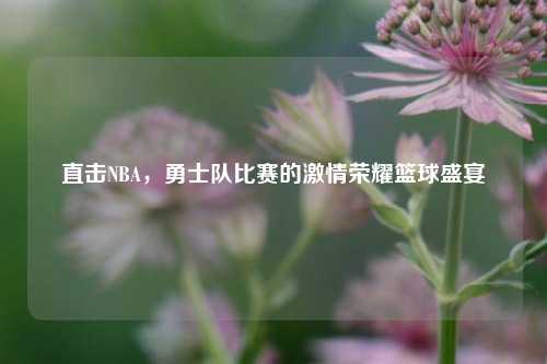 直击NBA，勇士队比赛的激情荣耀篮球盛宴