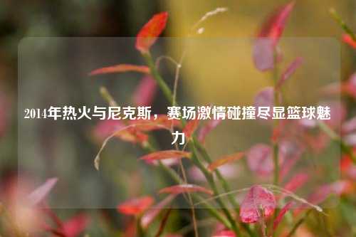 2014年热火与尼克斯，赛场激情碰撞尽显篮球魅力