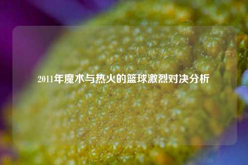 2011年魔术与热火的篮球激烈对决分析