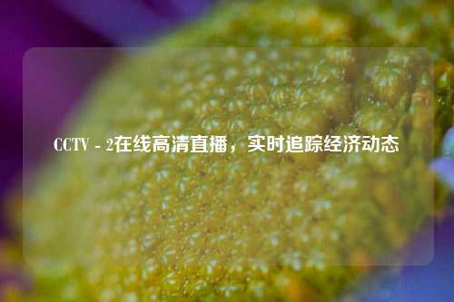 CCTV - 2在线高清直播，实时追踪经济动态
