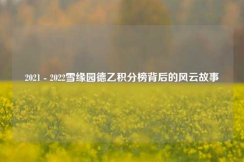 2021 - 2022雪缘园德乙积分榜背后的风云故事