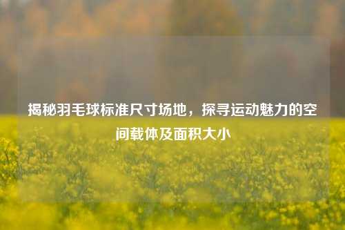 揭秘羽毛球标准尺寸场地，探寻运动魅力的空间载体及面积大小