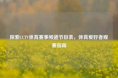 探索CCTV体育赛事频道节目表，体育爱好者观赛指南